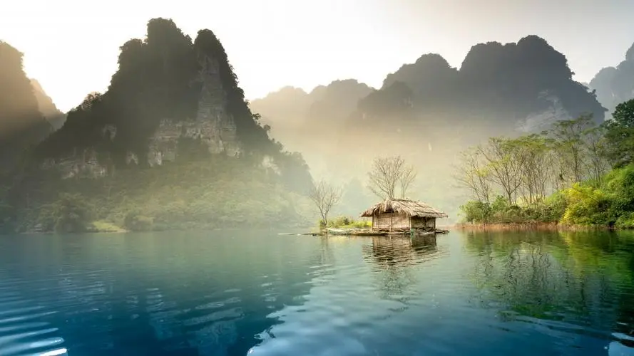 环保全自动高效